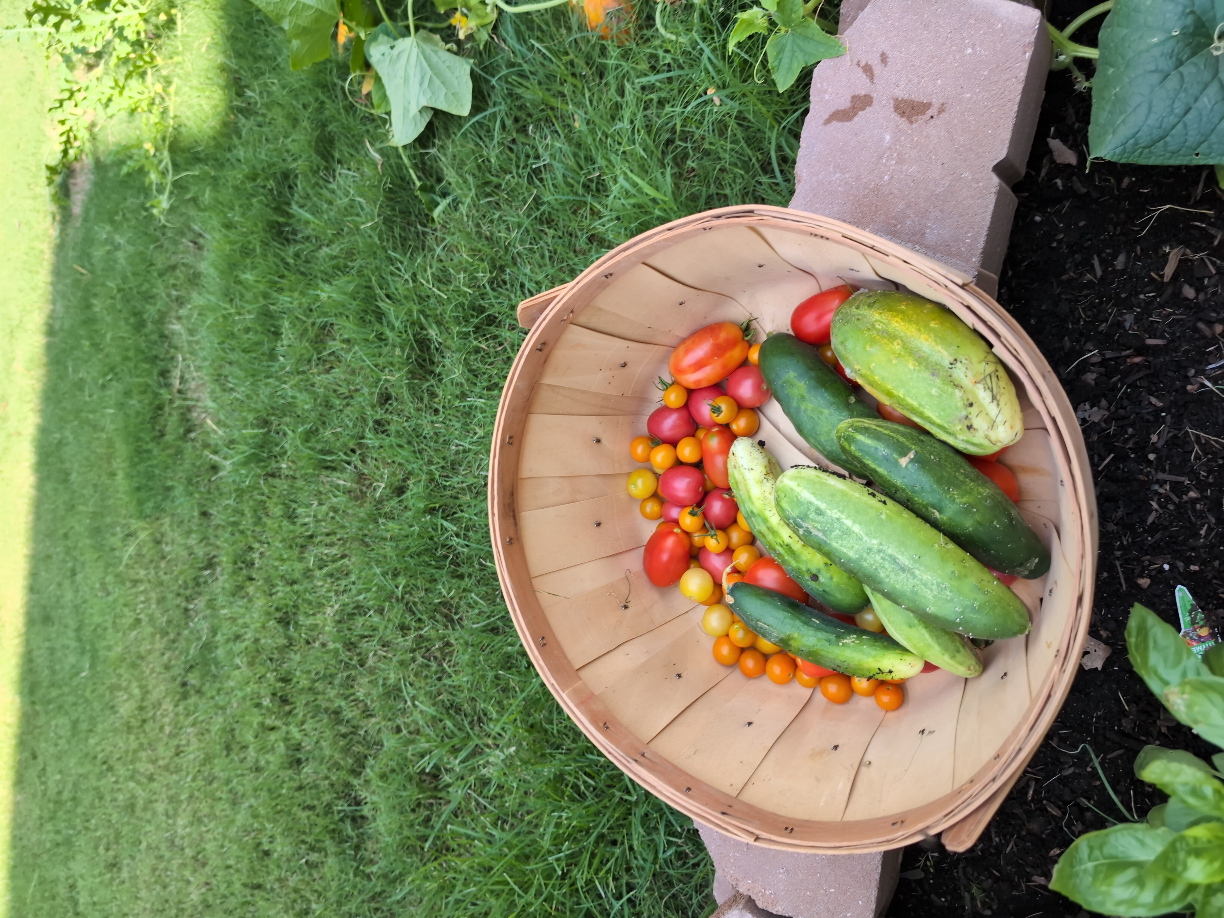 Fresh Produce from a Customer's Garden