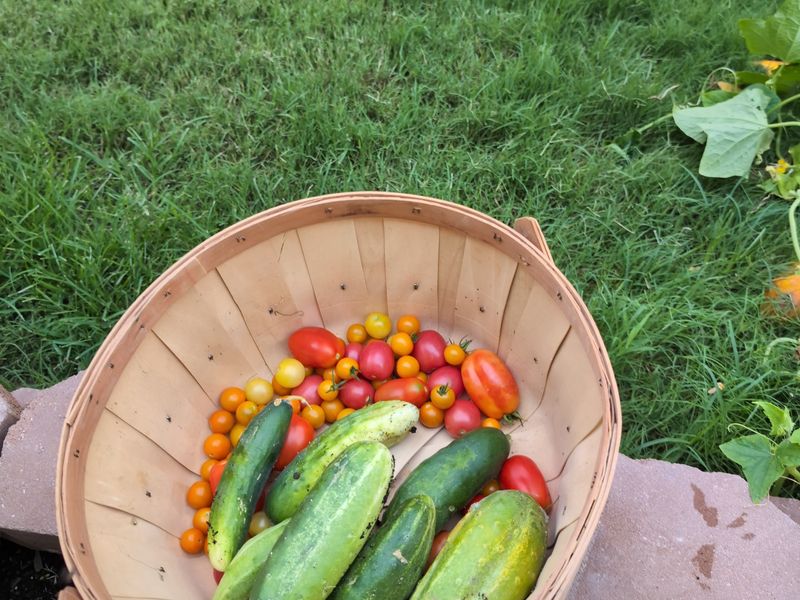 Fresh produce harvested from a customer's garden