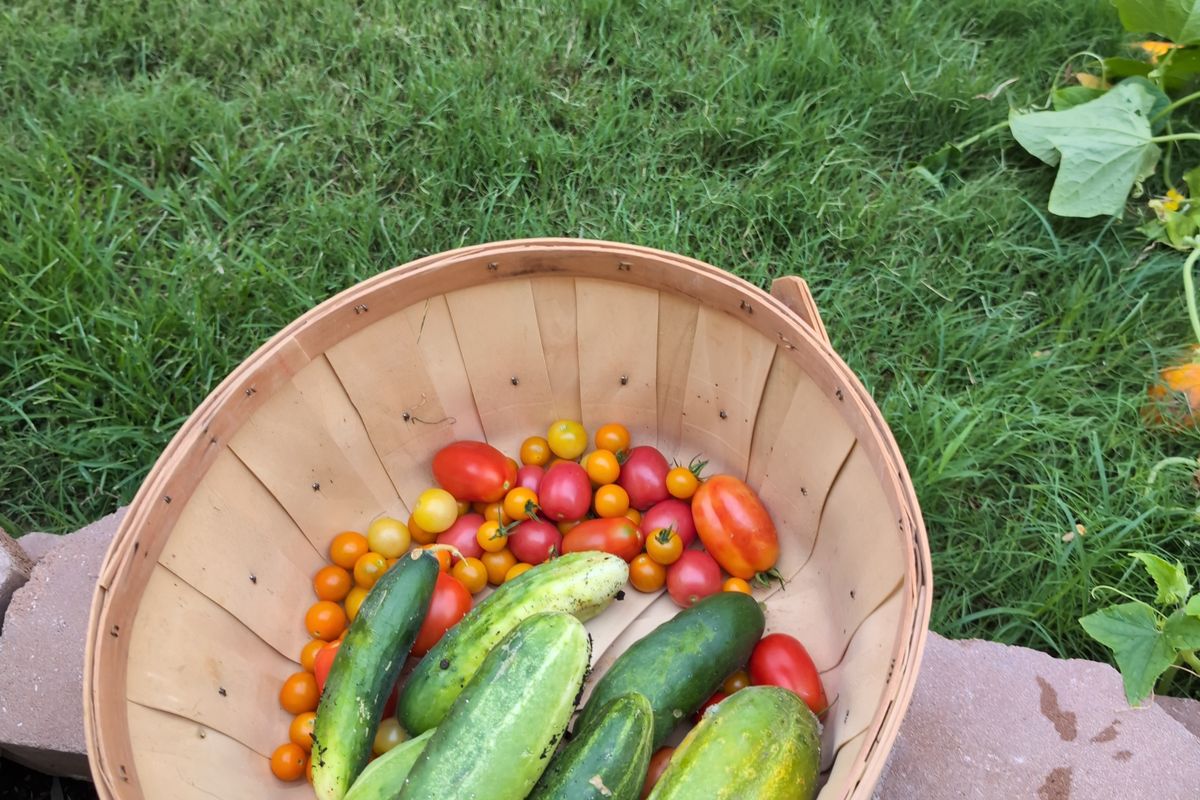 Fresh produce harvested from a customer's garden